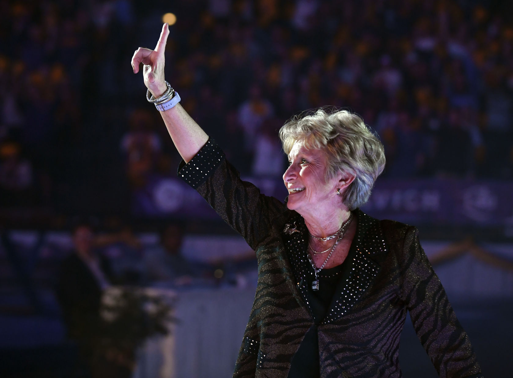 lsucalgymnastics.010519_HS_195